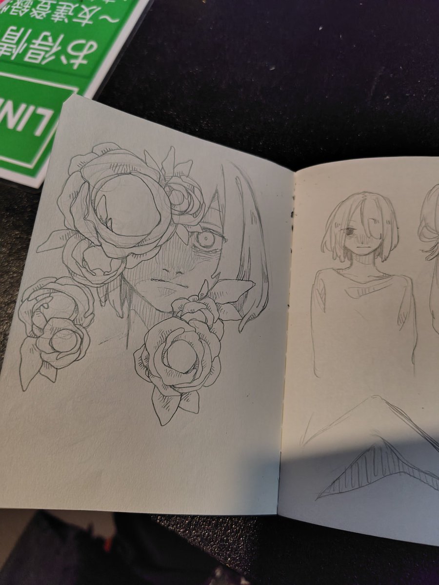 ぼっくり星人 (@bokkuri_1113) / Posts / X