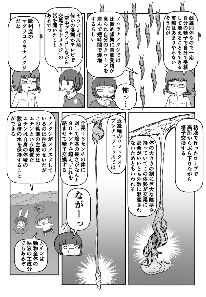 色々と誤解されてそうな動物を漫画で解説していくぞい。 第64回「ナメクジ」2/2 #クック先生の動物講座
身近にいながら誰も知らないナメクジの世界。