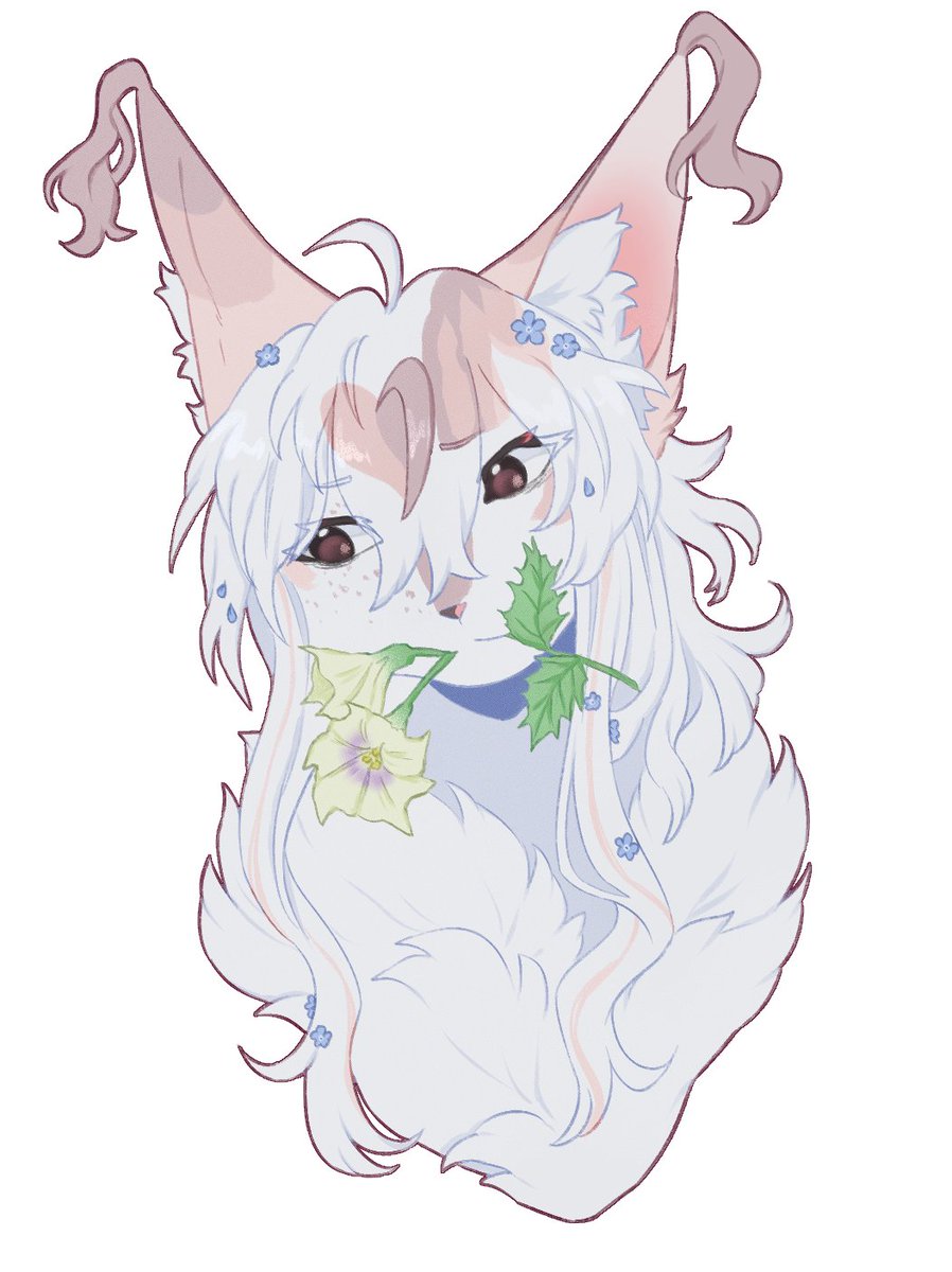 ang3lsbride's tweet photo. bnnuypaw #artfight #warriorcats #oc https://t.co/5KBwhCnYSf