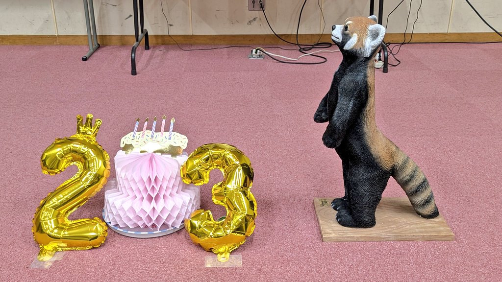 minicochi's tweet photo. ㊗️風太さん23歳🎂
お誕生会と言うより生誕祭。
一大イベントのお祭りのような1日でした。

誕生イベント後にお姿を見せてくれた風太さんはレジェンドの名に相応しく沢山のお客さんが見守る中、今日ものっしのっしと歩いていました🐾☺️

📷2026/7/5

#レッサーパンダ #風太 #千葉市動物公園 https://t.co/fS6JOgKdLH