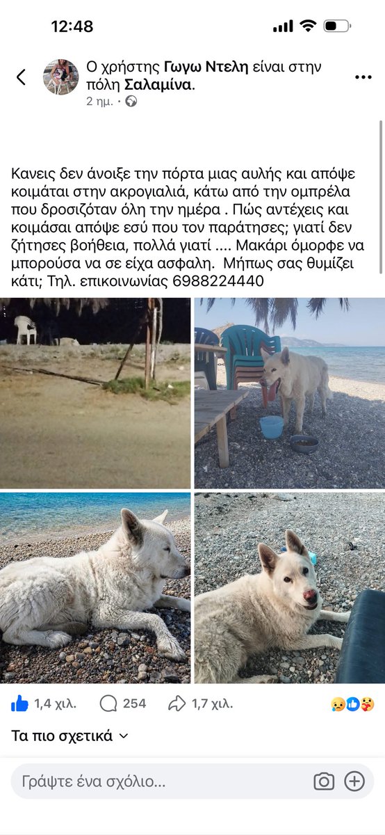 rikoulini's tweet photo. Σαλαμίνα! Προς υιοθεσία! https://t.co/whvyk2BQax