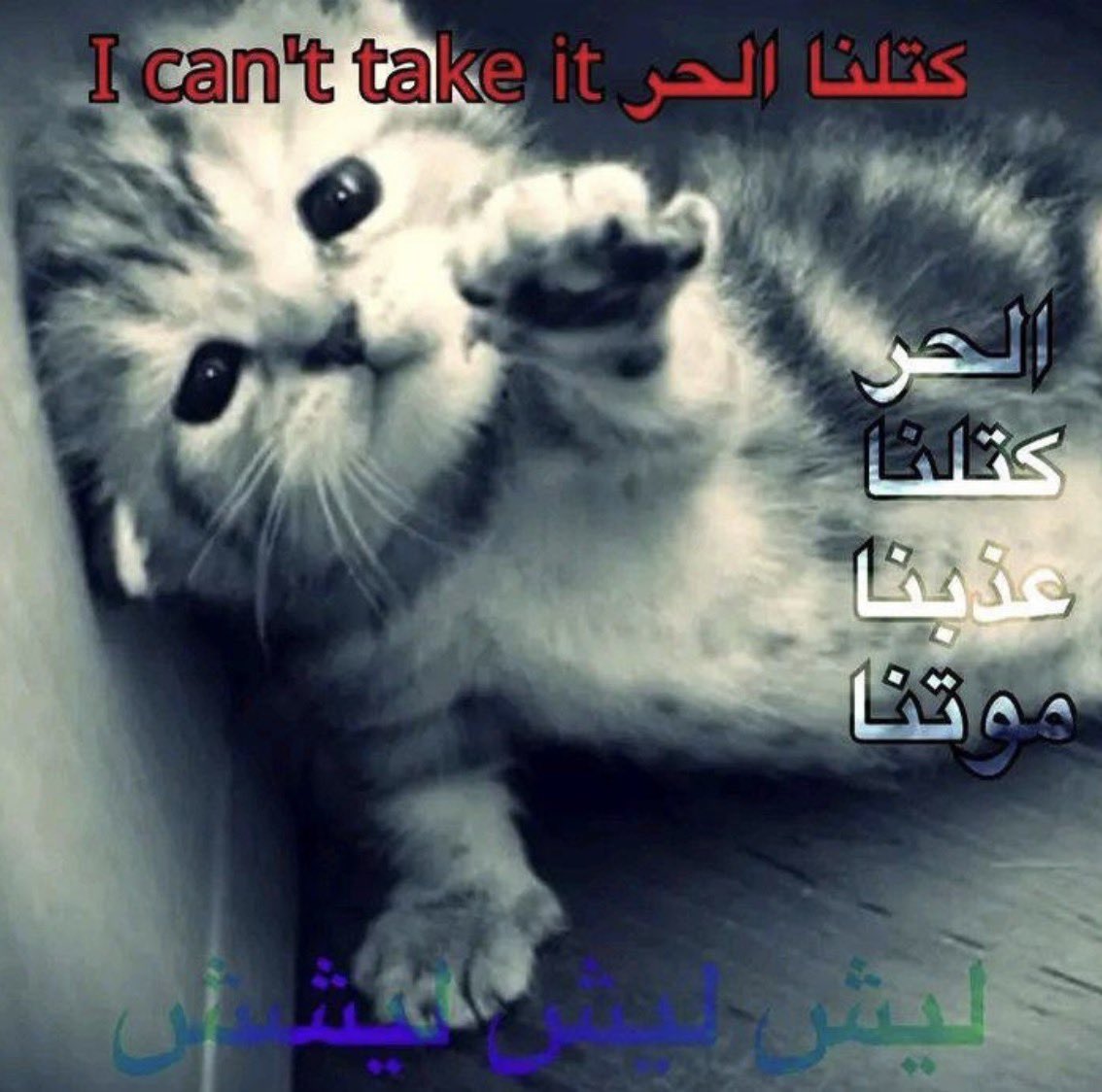 ASEEL93_'s tweet photo. https://t.co/IXtu8BOgRk