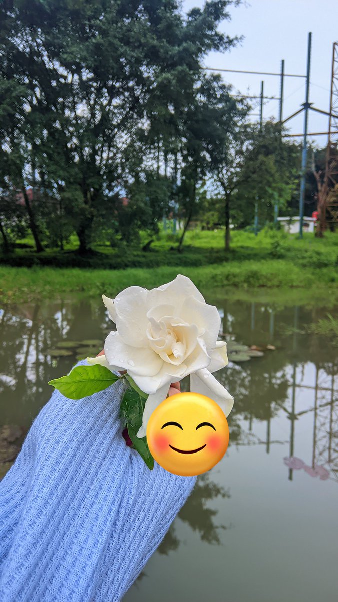 🫧 Dessy_🫧 tweet media