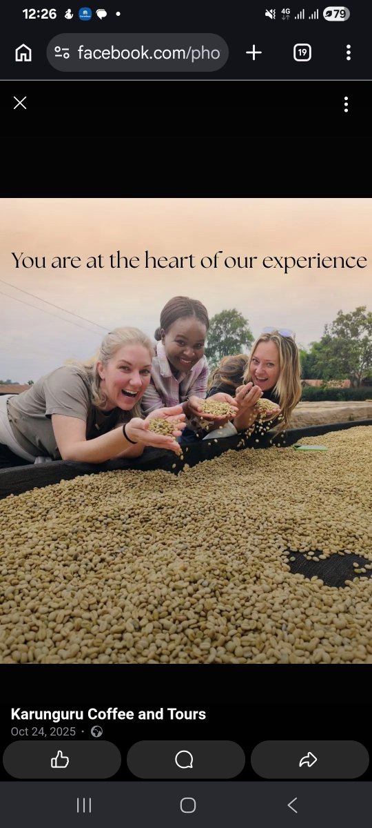 Jefitha1945's tweet photo. @ahmednasirlaw @cobbo3 This one from 100 year old coffee trees. Must be the best 100% Arabica coffee in the world in my opinion. The taste and flavor is Amazing! https://t.co/61PMbdKfum
