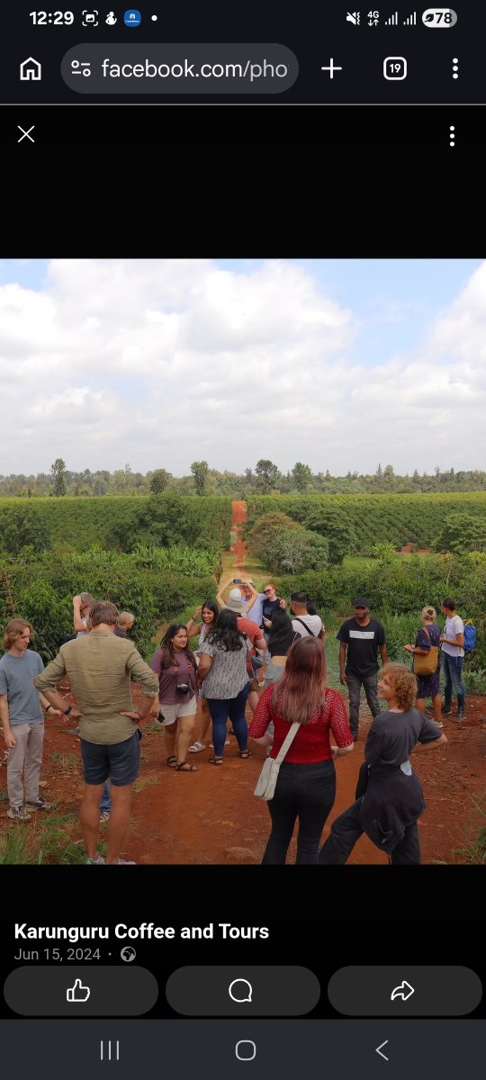 Jefitha1945's tweet photo. @ahmednasirlaw @cobbo3 This one from 100 year old coffee trees. Must be the best 100% Arabica coffee in the world in my opinion. The taste and flavor is Amazing! https://t.co/61PMbdKfum