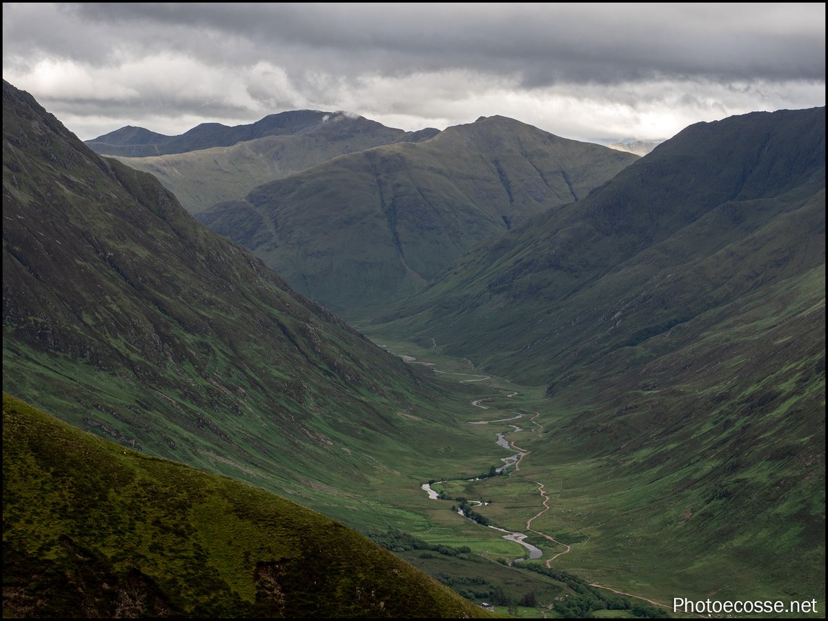 GarethHarper1's tweet photo. The day after #Faochaig it rained all day. On the Friday there was some hope of clear #Corbett summits in the afternoon. So, I popped up #SgurranAirgid from #Morvich A hill I have climbed before but didn’t get any views.
19-06-26

#Corbetts
#Morvich
#LochDuich
#photoecosse https://t.co/uf3TeSW7CW