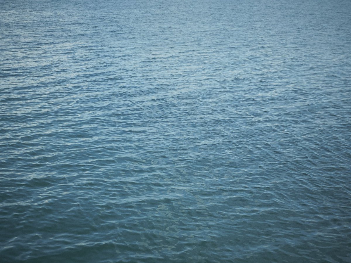 DPRIANARD's tweet photo. Drop anything blue from your galleryy https://t.co/88tdhbJrra
