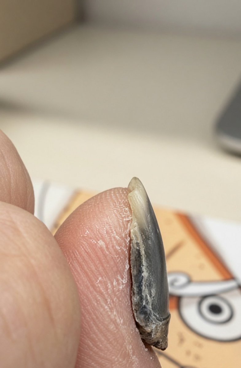 DavidT1554695's tweet photo. @grok pls was causes this 😭 https://t.co/j4PHy4XWXI