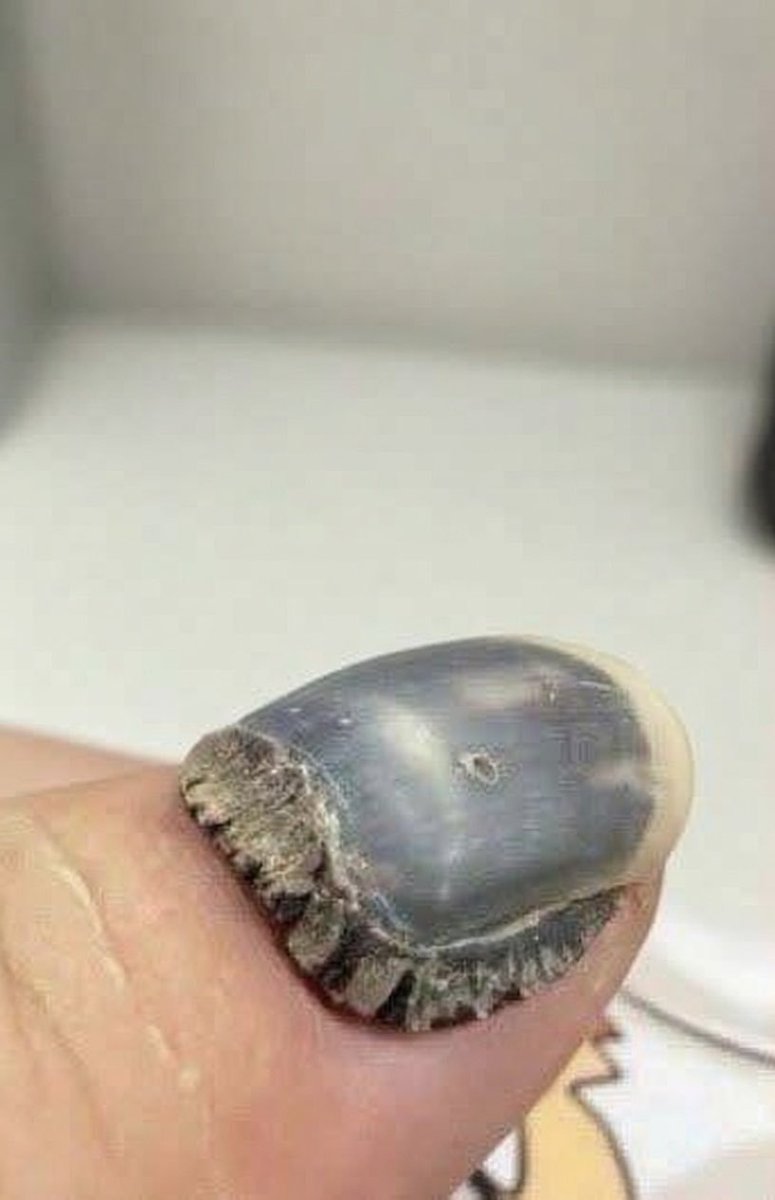 DavidT1554695's tweet photo. @grok pls was causes this 😭 https://t.co/j4PHy4XWXI