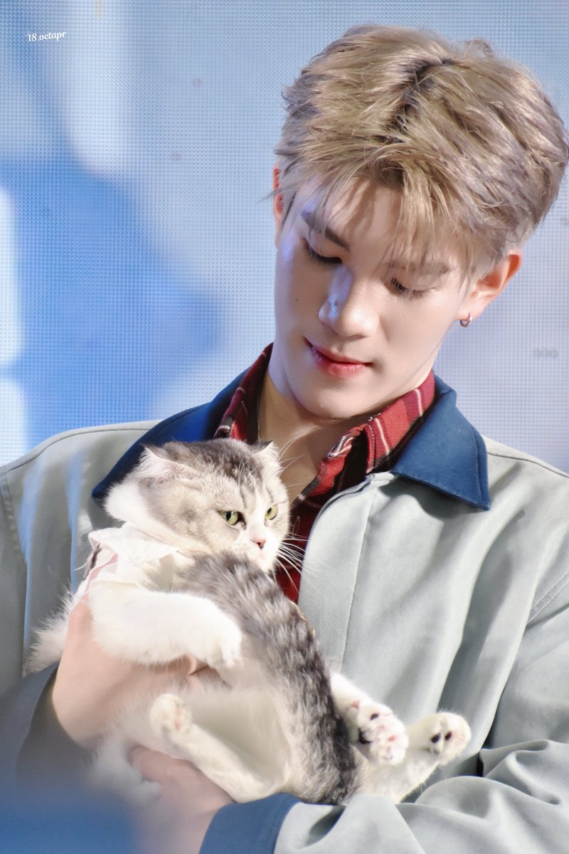 ✦ ❣︎ 𝟭𝟴.𝗼𝗰𝘁𝗮𝗽𝗿 ♡ ⋆ 🐈🌻 tweet media