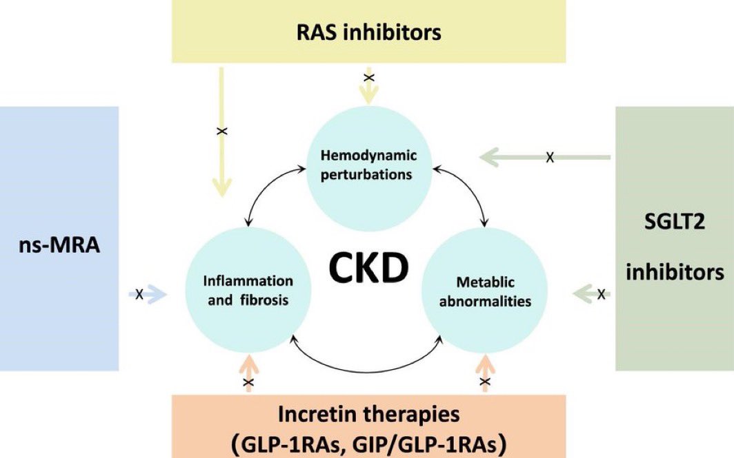 drbennisahmed's tweet photo. Trends in nephrology: from “supportive care” to CKD combination therapy

The KDIGO 2024 Clinical Practice Guideline for the Evaluation and Management of CKD emphasizes patient-centered, team-based management integrating these therapies.

https://t.co/j2Jzcgiw36 https://t.co/piEA5rXvey
