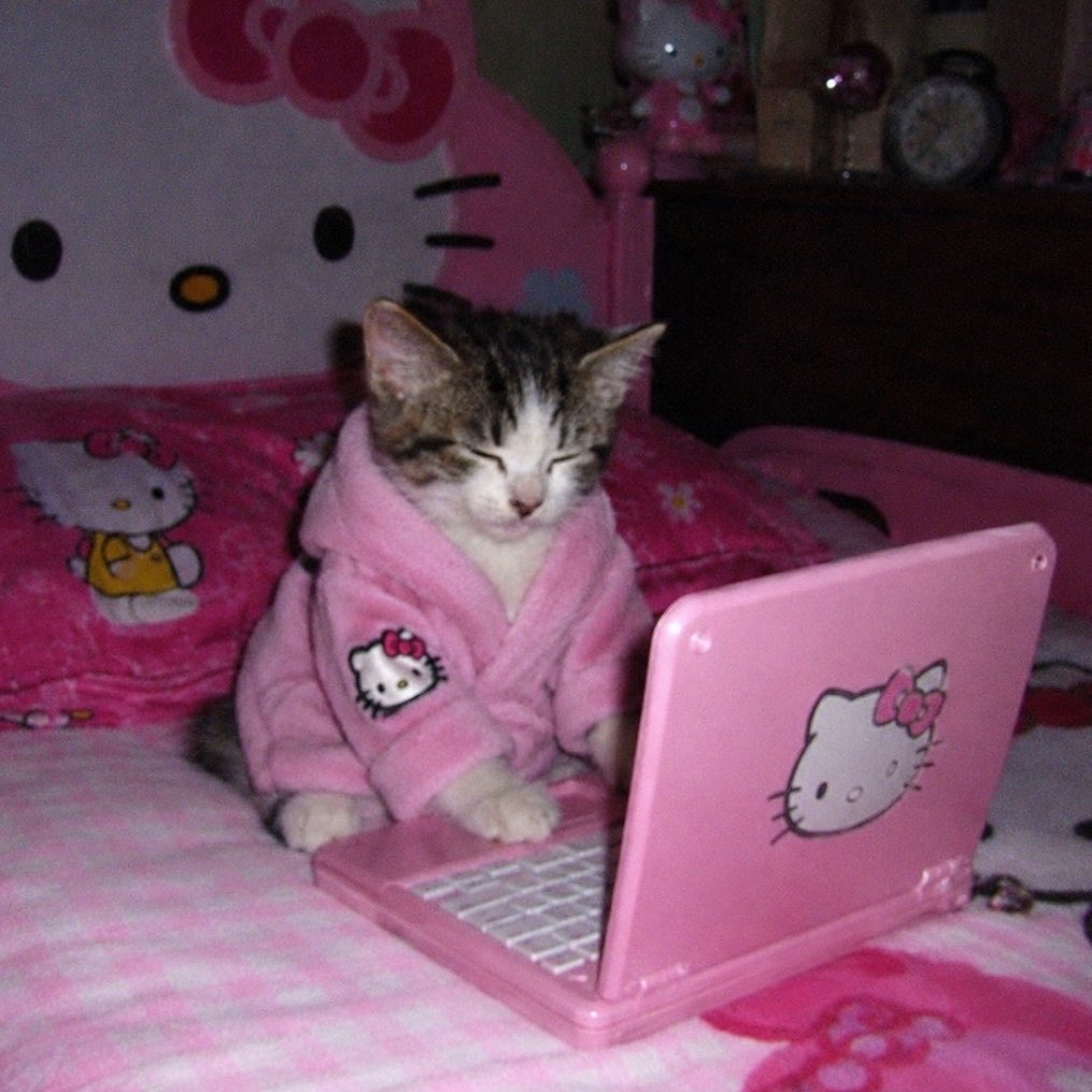arsivmeow's tweet photo. twit düşünüorm bisaniye https://t.co/w9CM0SkwXG