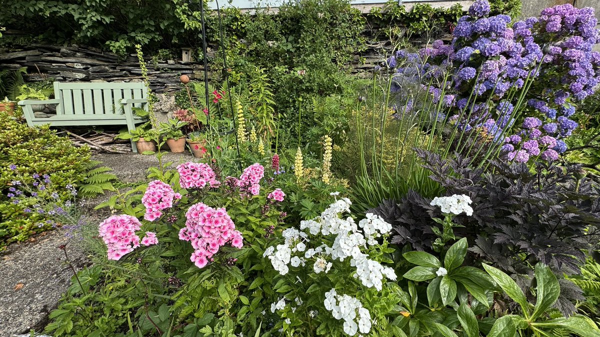 SarahWoods66's tweet photo. My higgledy mismatched cottage garden this morning. https://t.co/Wm4IUdmUmI