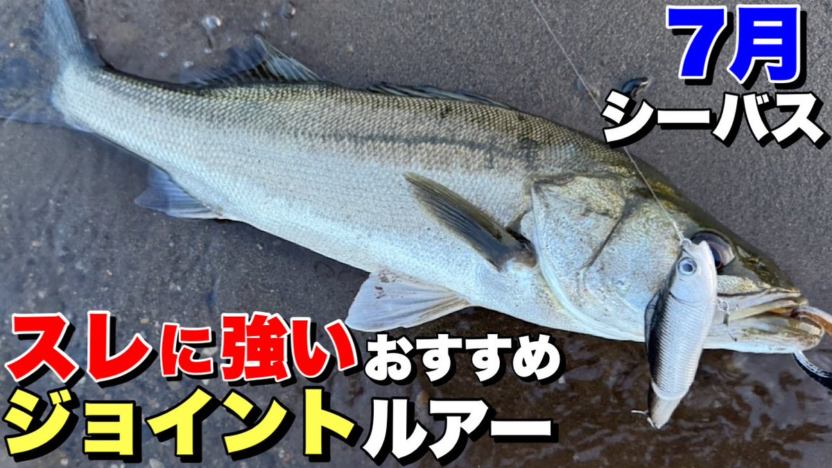 fe_hair's tweet photo. YouTube湾奥ハイスクールupしました！
使い方はアレとは真逆になります🎣
よろしくお願いします〜！
https://t.co/zps5sx7HPn https://t.co/CLrZdGxfpH