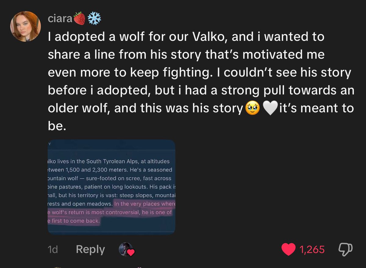 Haru⁷ tweet media