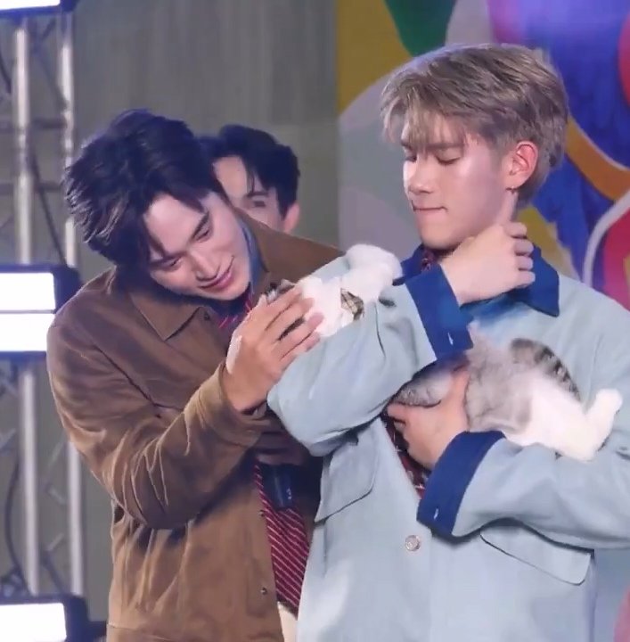 aydellch's tweet photo. SO CUTE, they look like a little family 😭😭😭

GEMINIFOURTH KKN PET EXPO
#NEKKOxGeminiFourthม่วนคักที่ขอนแก่น 

🐱: can i go live with p'gem and p'fot?
♊️: sure you can! 

// be careful or princess muang and lord jumu will get jealous, papa 😂 https://t.co/zhvXmnuIpd