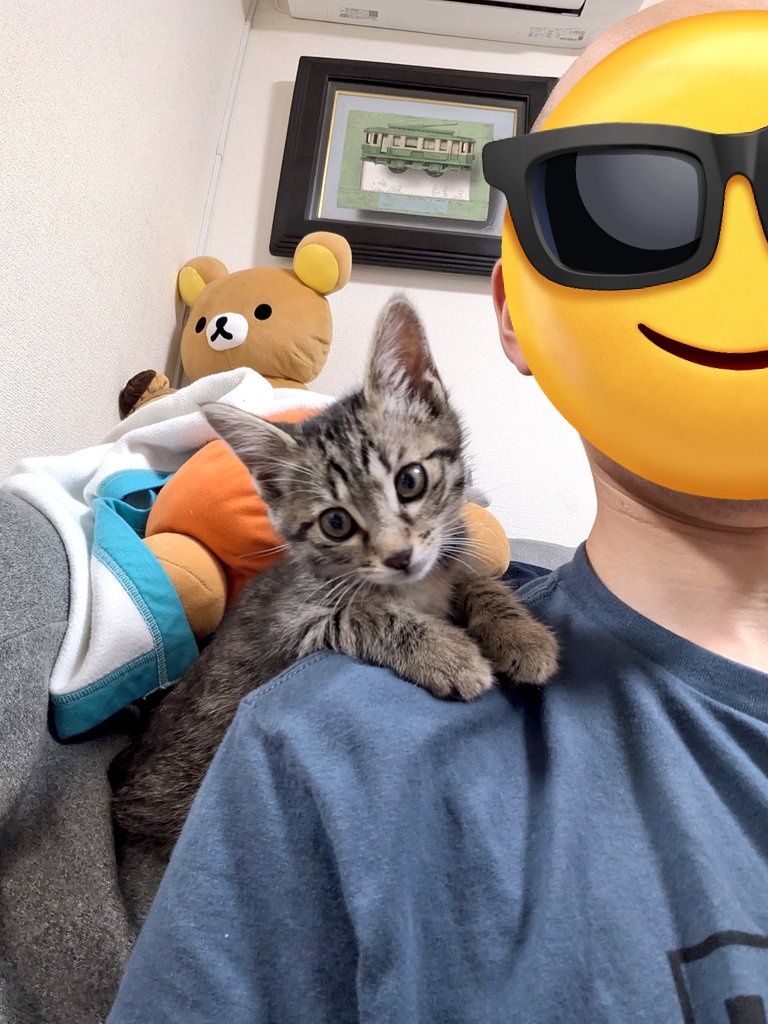 MuchiCope's tweet photo. 噛みグセがついてきたから噛まれたら俺がやんのかステップしながら追いかけ回したら大人しくなった( ᐛ ) https://t.co/jRXox9zS4p