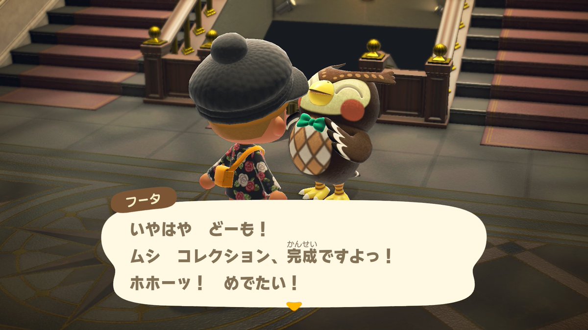 pote99's tweet photo. ナナフシつかまえて、虫コンプリート😭 https://t.co/hNHWwgSNp2