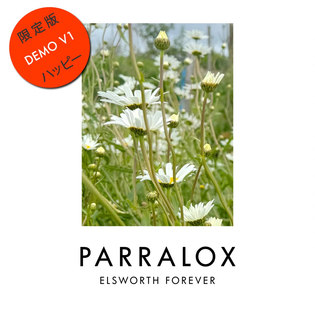 Parralox tweet picture