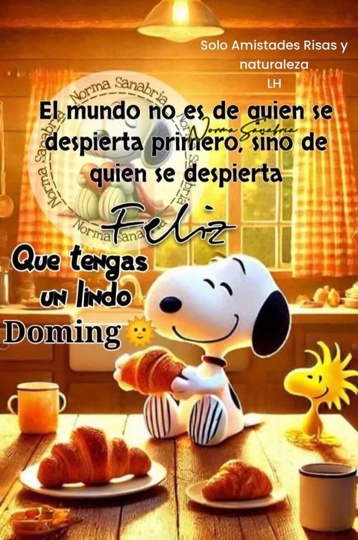 anaidcaban's tweet photo. Buenos días ☀️ https://t.co/EkakYTckir