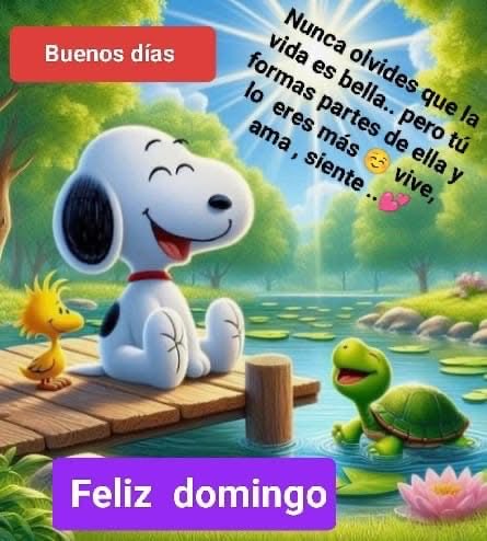 anaidcaban's tweet photo. Buenos días ☀️ https://t.co/EkakYTckir