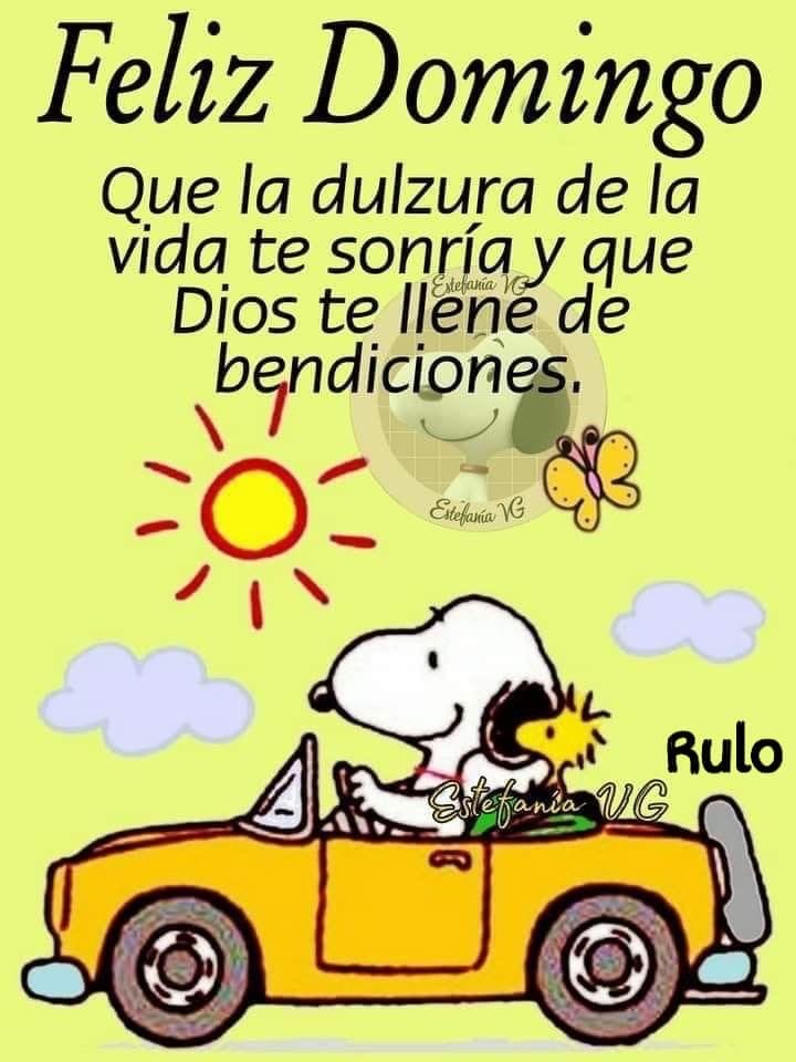 anaidcaban's tweet photo. Buenos días ☀️ https://t.co/EkakYTckir