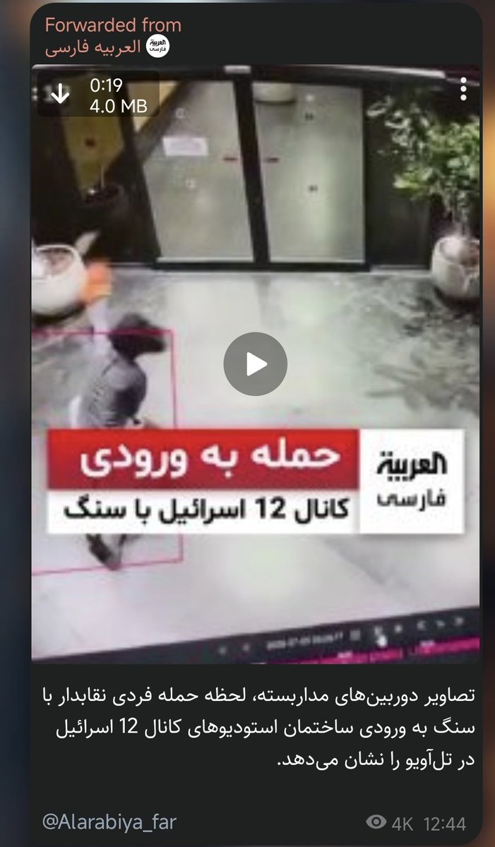 Bear | خرس tweet media