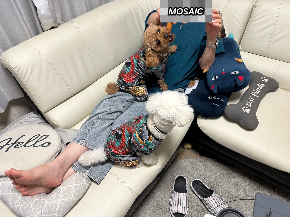 MACHARKIEEE's tweet photo. ヤバそな2人組にうちの奥さん襲われてる😂 https://t.co/VCQh6ewFlJ