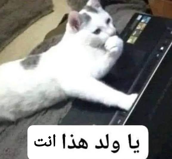 meme1_72's tweet photo. @Rdro56 @SJAC404E انا* ما قدرت ما احطها 😂 https://t.co/QWUaaogfWA