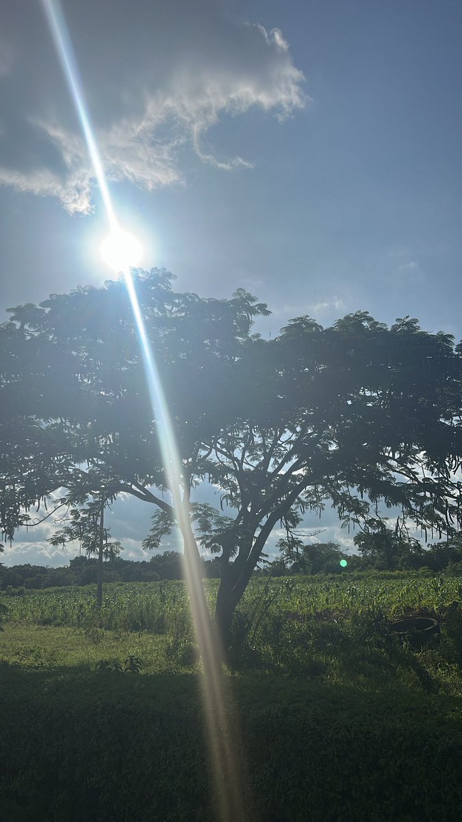 Harriff001's tweet photo. A beautiful Sunday ☀️ https://t.co/1eV9fMhsAB