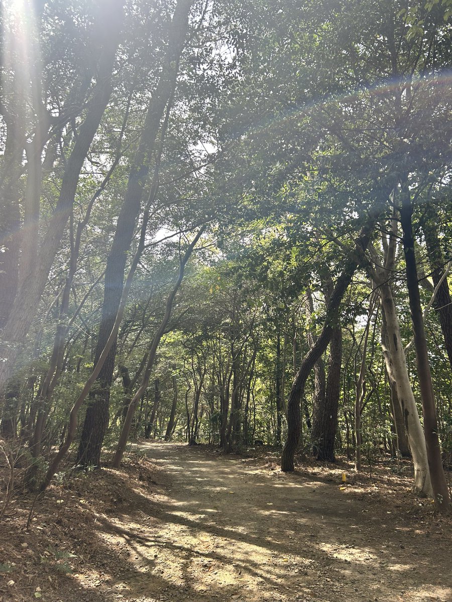 tossan130's tweet photo. いつかやめて日にちを決めると
現実化する

展開が早くなって体験がふえる

決めること苦手な人が多いなら
自分がやったらいい https://t.co/c9KuGZVzhI