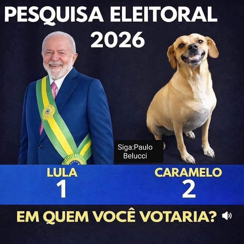 pcbelucci's tweet photo. https://t.co/dcxQc4mwU6