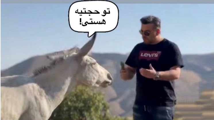 س. tweet media