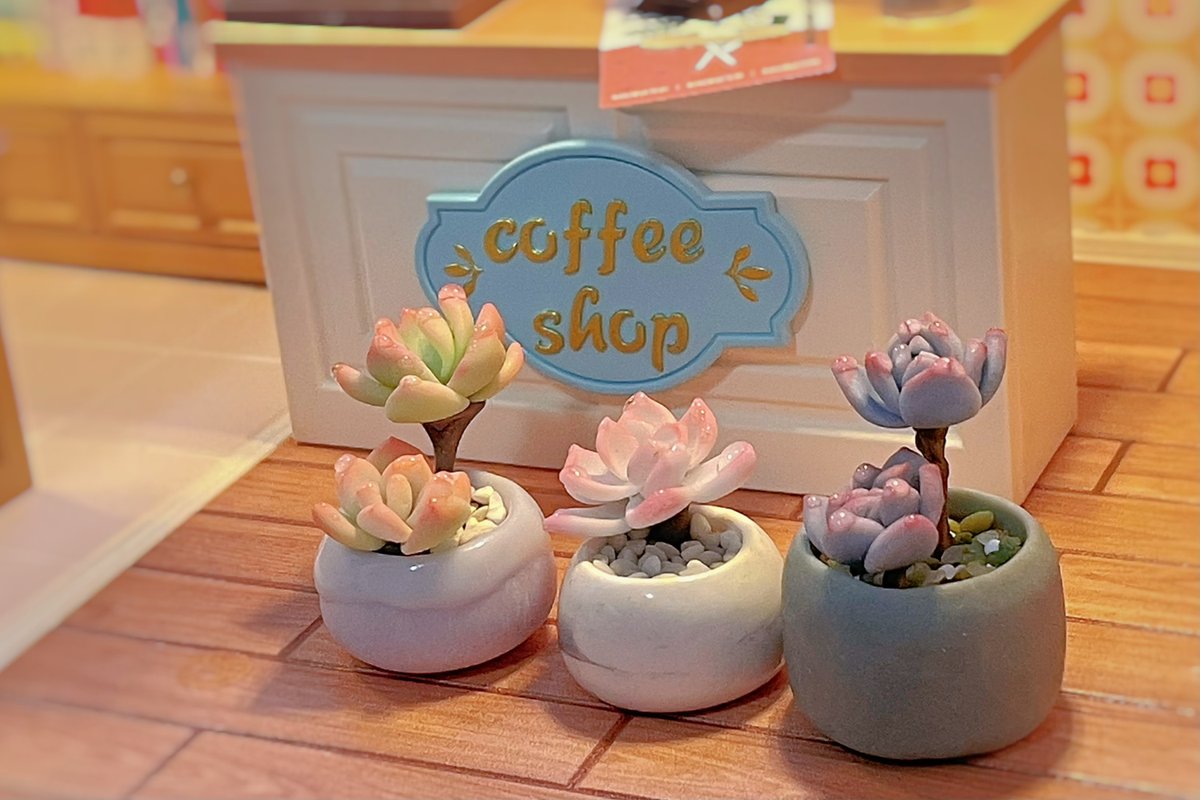 hiro_1583's tweet photo. [Handmade clay succulents just finished! No two are the same, adding warm tiny decor to my desk  DIY made my week!] https://t.co/4utSyfMXHr