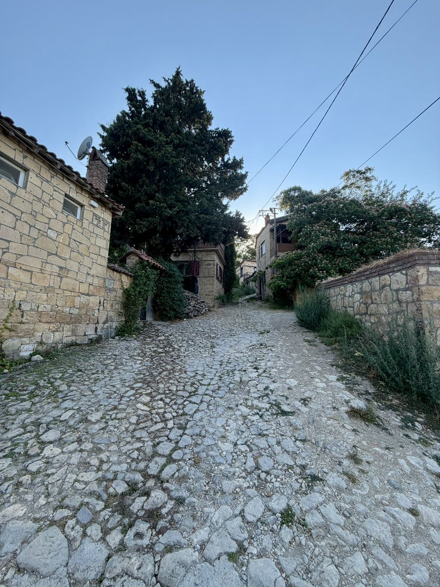 DrYukselUrun's tweet photo. Bilim, kusursuz cevapların tarihi değildir.
Daha iyi soruların tarihidir.

Assos’ta zaman biraz yavaşlıyor.
Bir çiçek, taş bir sokak, eski duvarların gölgesinde bekleyen kediler…

Ve insan ister istemez Aristoteles’i düşünüyor.

İda’nın gölgesinde, doğaya bakmanın sadece görmek olmadığını hatırlıyor insan.
Bazen bir bedeni anlamak için önce bir canlıya dikkatle bakmak gerekir.
Bir kuşa, bir balığa, bir kalbe, bir harekete, bir doğuma…

Aristoteles modern anatomiyi kuran kişi değildi.
İnsan kadavrası üzerinde bugünkü anlamda sistematik çalışmalar yapan bir anatomist de değildi.

Ama canlı bedene bakmanın yönünü değiştiren büyük zihinlerden biriydi.

Hayvanları gözledi.
Organları karşılaştırdı.
Embriyonun gelişimini düşündü.
Kalp, damarlar, hareket ve yaşamın düzeni üzerine sorular sordu.

Bedenin yalnızca parçalar toplamı olmadığını sezdi.
Her organın bir görevi, her yapının bir anlamı olabileceğini düşündü.

Elbette yanıldığı da oldu.

Kalbe fazla merkezi bir rol verdi.
Beynin önemini eksik gördü.
Bazı açıklamaları bugün modern anatomi ve fizyolojiyle uyumlu değil.

Ama bu onu küçültmez.
Bilimi büyütür.

Çünkü bilim, yanılmamak değildir.
Yanıldığını fark edince yeniden bakabilmektir.

Tıpkı bizim bugün de yanılmaya devam ettiğimiz gibi.
Tıpkı yarın, bazı kesin sandıklarımızın yeniden yazılacağı gibi.

Bir kuşak sorar.
Bir kuşak düzeltir.
Bir kuşak yeniden sorar.

Bilim kendini kutsamaz.
Kendini sınar.

Ve belki de Assos’un taşlarında saklı en güzel ders budur:

Doğaya dikkatle bak.
Yanılmaktan korkma.
Daha iyi bir soruyla yeniden başla.

Bazen en bilimsel cümle şudur:
“Tekrar bakalım.”

#assos #science #aristoteles #cat #nature