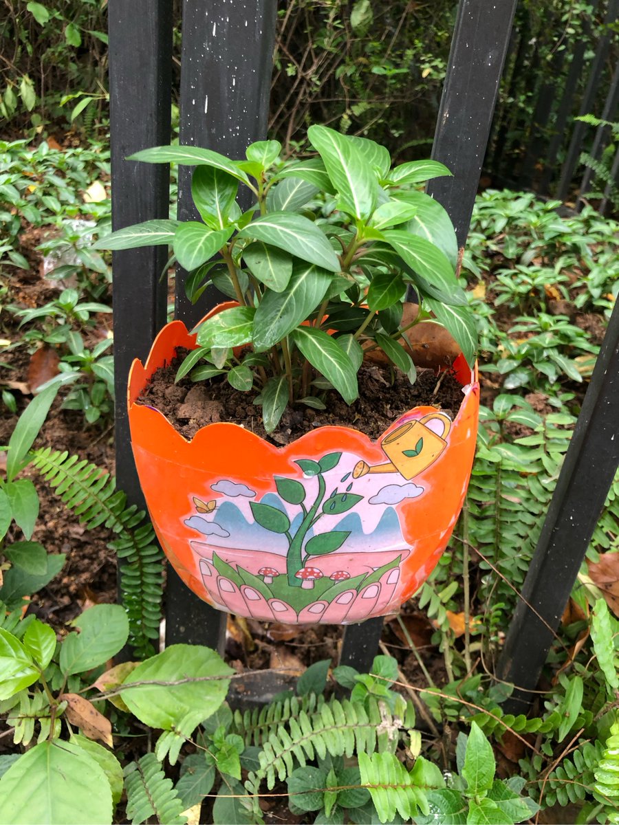 Lofto13's tweet photo. Just turned an old mason jar into a cute planter with some paint and twine—quick DIY that brightens my windowsill! https://t.co/4DYlBFw4Z1