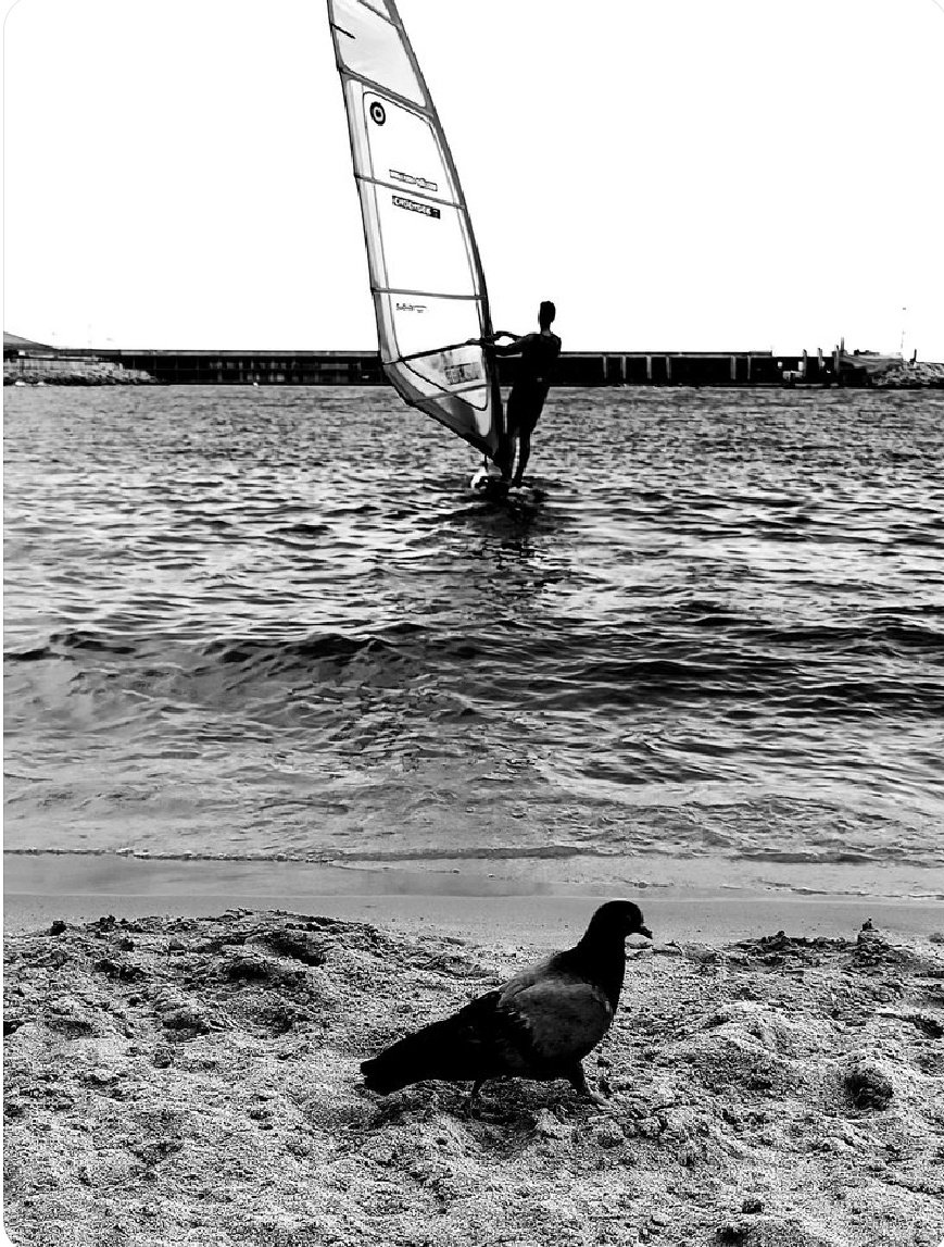 Leia017's tweet photo. Con el impulso del viento,
o desde la calma de la arena.
Que cada cual navegue 
a su manera 
para encontrar 
su propia marea...
Sin juzgar la brújula ajena.

#felizdomingo https://t.co/vxJU8oSckA