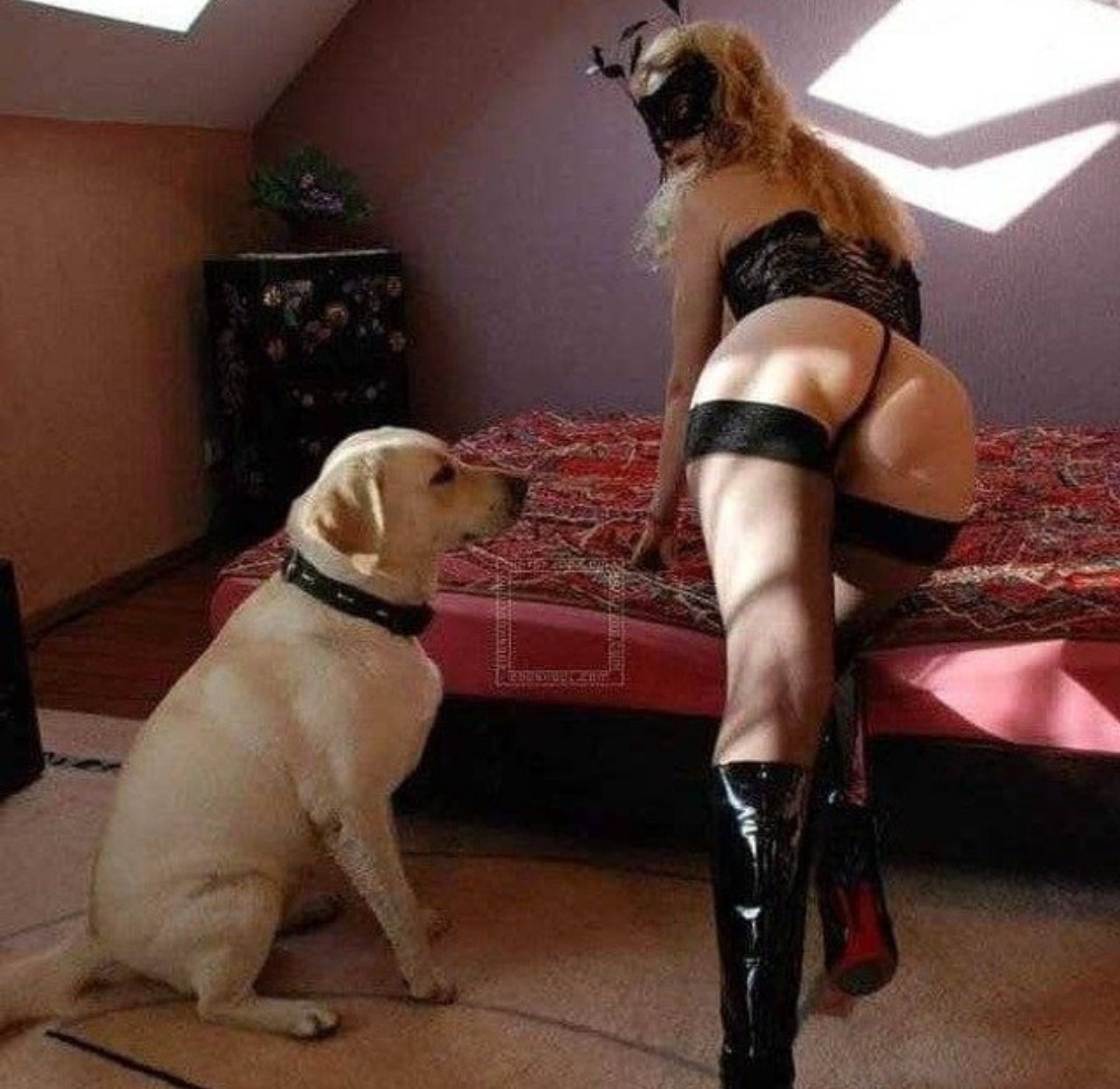 Georgia3z5v's tweet photo. I'm so horny..well thank God I have my dog 🐕 to distract me🤗..just an #FYI my #k9 Dropbox is now up to 108 #videos 🥵💦 
Telegram ⬇️⬇️

https://t.co/3GL3MmSam8

#k9zoo #knotting #zoophillia #zoo #Taboo #exploremoreusa #exploregermany #fypシ゚viral  #trending #sexy 
#dogknotting https://t.co/M79j5Sj7TF