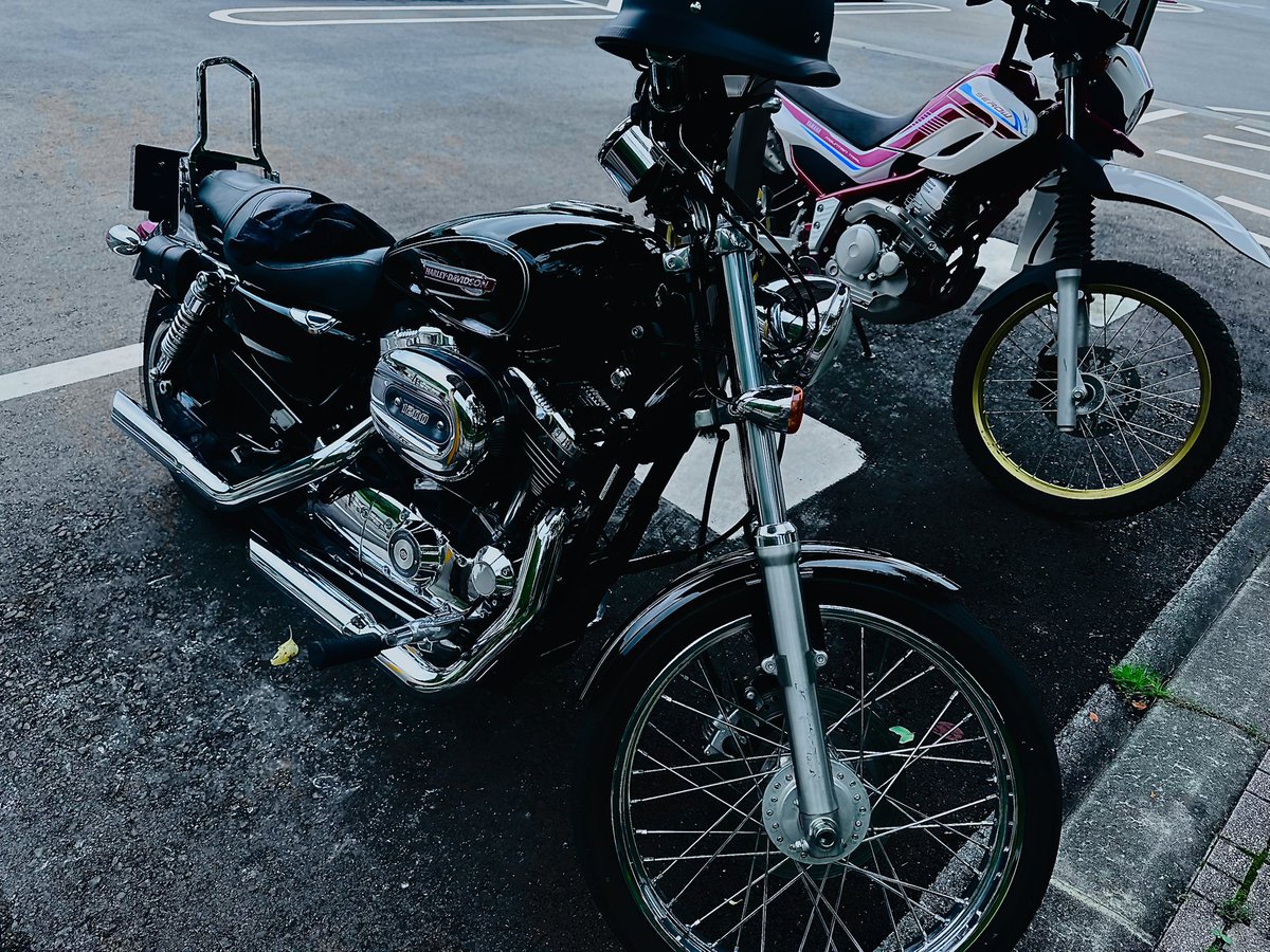 d4Dows's tweet photo. バイク生活再開！！！ https://t.co/gEdaVutAiA