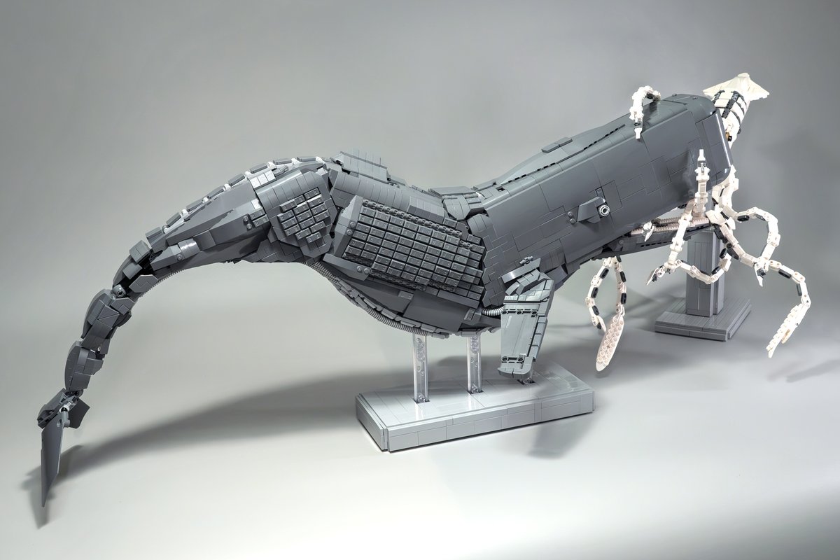 uran120's tweet photo. レゴで「マッコウクジラとダイオウイカ」を作ったよ。
マッコウクジラは水深1000mを超える深海まで潜れる歯クジラ。深海の中で反響定位を使い獲物のダイオウイカを探します。
ダイオウイカは全長10mを超えることもある世界最大級の無脊椎動物で、目玉がバスケットボールくらいの大きさ。
#LEGO #レゴ https://t.co/H6JNpnoIPQ