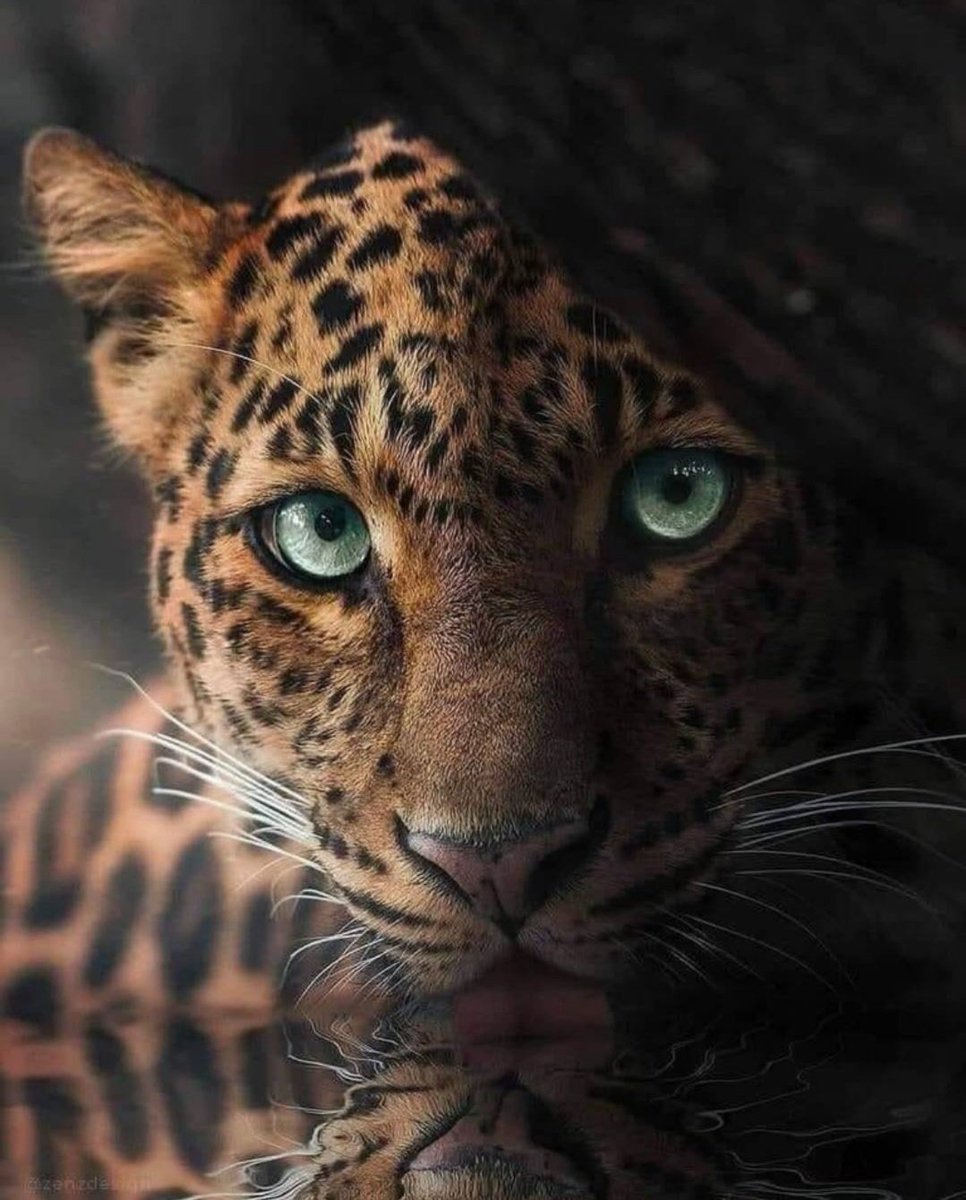 Miep51082958's tweet photo. #WatchingYou https://t.co/SdR86hMFtq