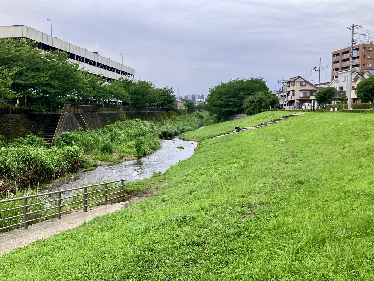 takedome2's tweet photo. #三沢川

はっきりしない天気☁️
チャリはやめて傘を持って徒歩で三沢川を上ります😊
川沿いの緑と町並を楽しみ三沢川親水公園で☕️タイム😋
少し蒸すけど雨は降らず気持ちいい😊脚が進みます👍
稲城駅辺りから坂を登り尾根幹へ出て稲城中央公園へ上ります😊 https://t.co/gJTBMgpZvd