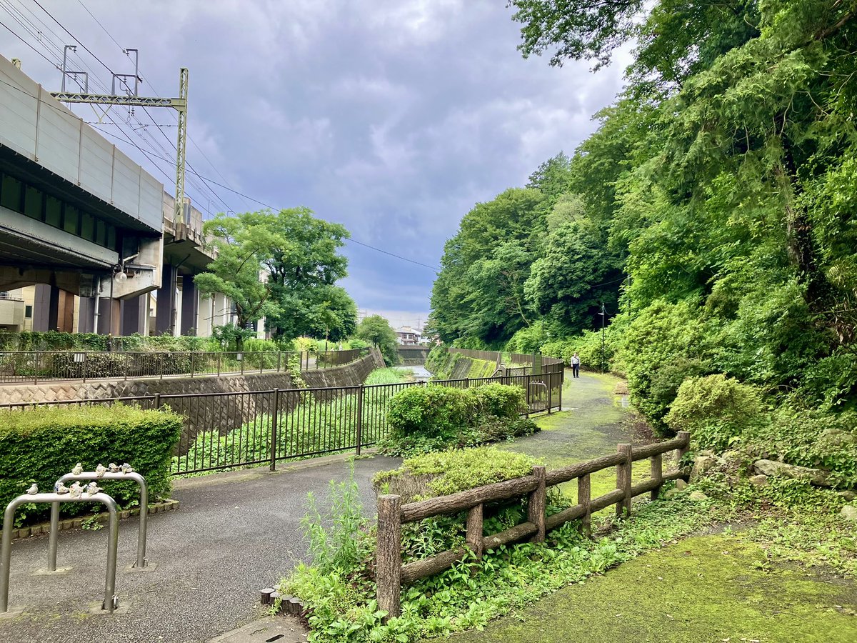 takedome2's tweet photo. #三沢川

はっきりしない天気☁️
チャリはやめて傘を持って徒歩で三沢川を上ります😊
川沿いの緑と町並を楽しみ三沢川親水公園で☕️タイム😋
少し蒸すけど雨は降らず気持ちいい😊脚が進みます👍
稲城駅辺りから坂を登り尾根幹へ出て稲城中央公園へ上ります😊 https://t.co/gJTBMgpZvd