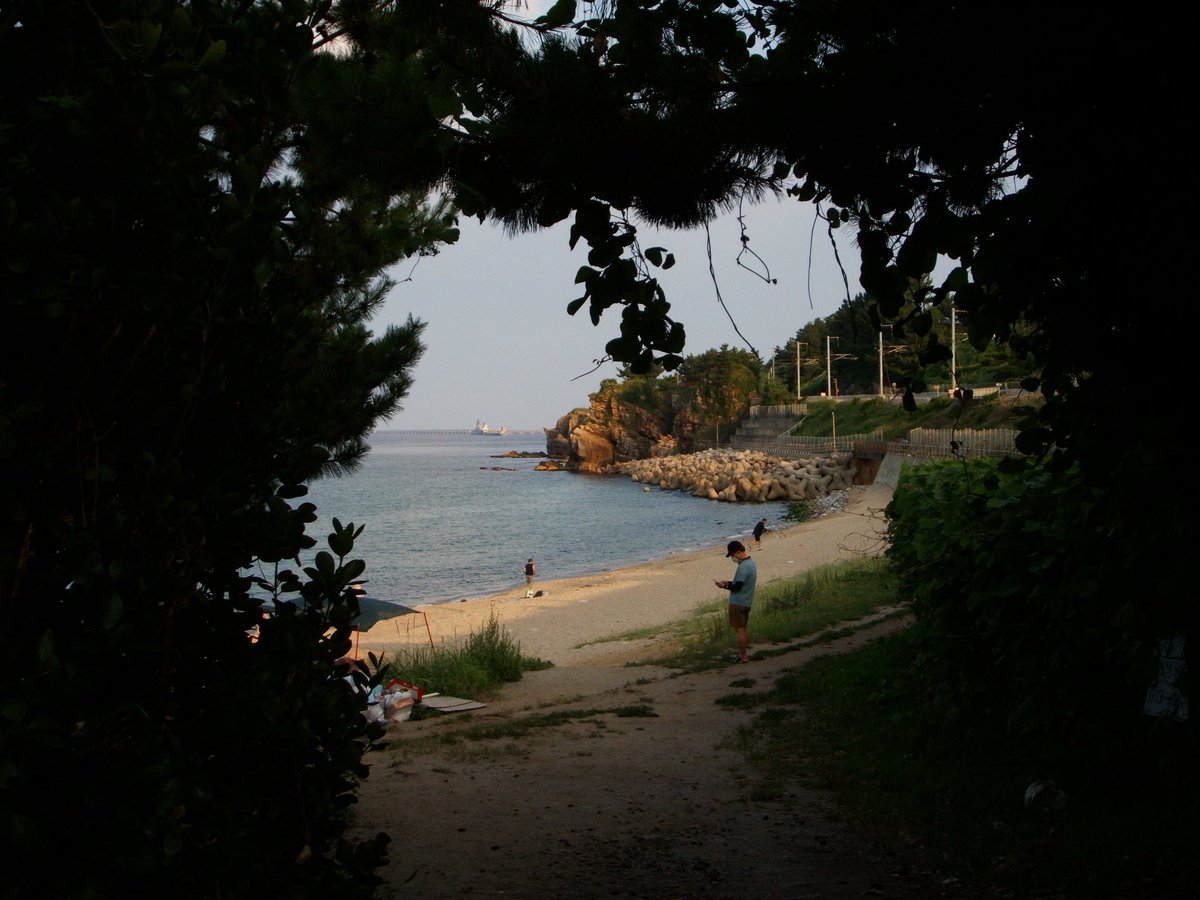 sotsotse's tweet photo. 꼭 다시 갈 해변 ⛱️ https://t.co/ucHraPgJm1