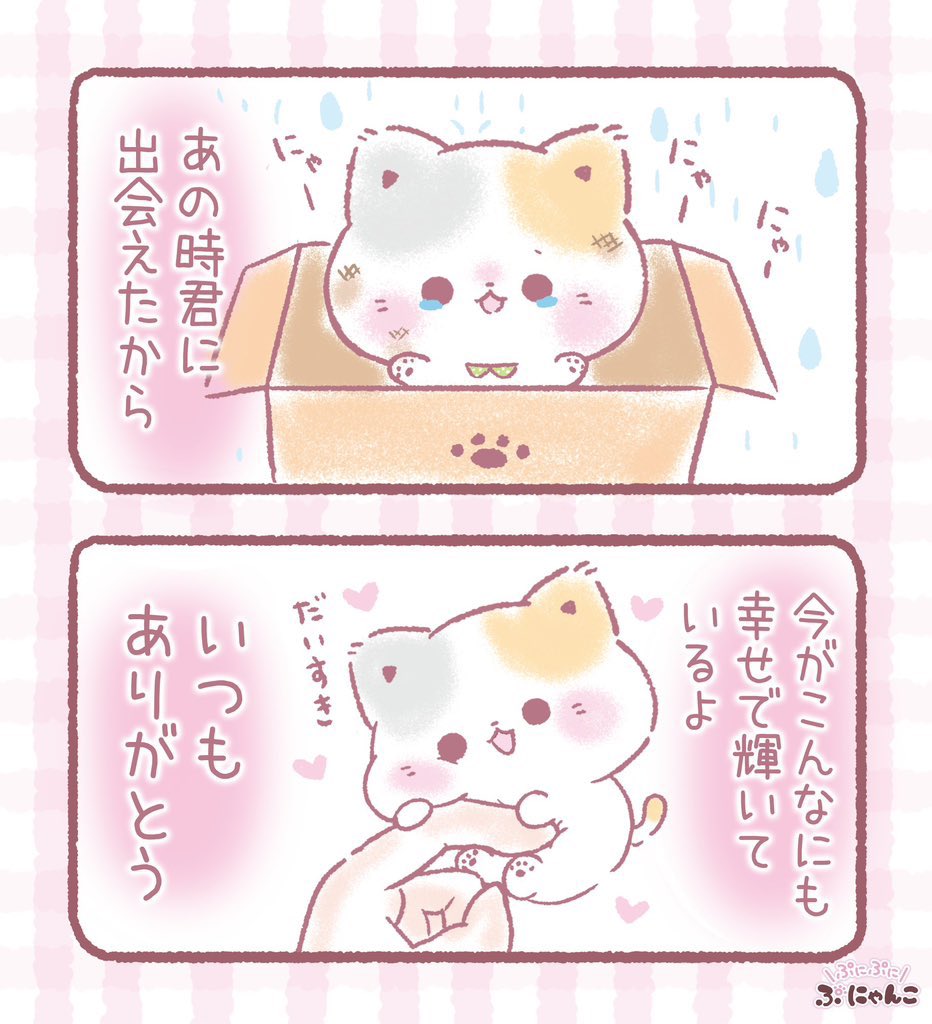 TOKUDOME2's tweet photo. 君に出会えてよかった(⸝⸝⸝´꒳`⸝⸝⸝)🍀 https://t.co/SeKAJoT9Tj