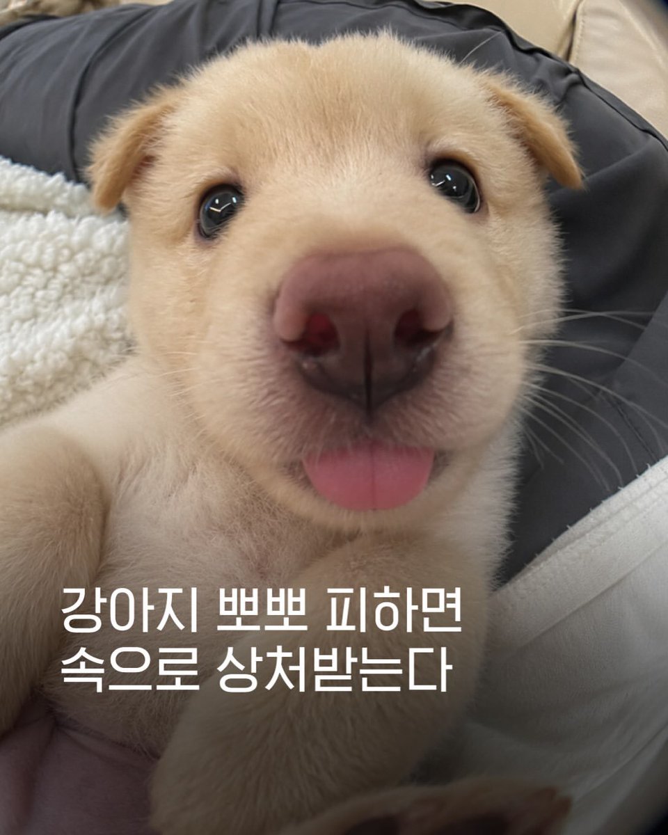 DYgyeon's tweet photo. https://t.co/BSaAOpWzh5