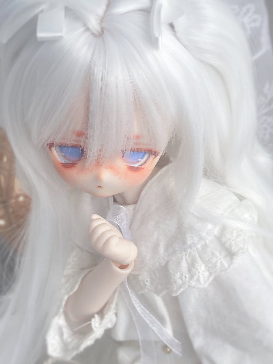 こちらの子おうちが見つからなかったので 引き続きおうち探し中です