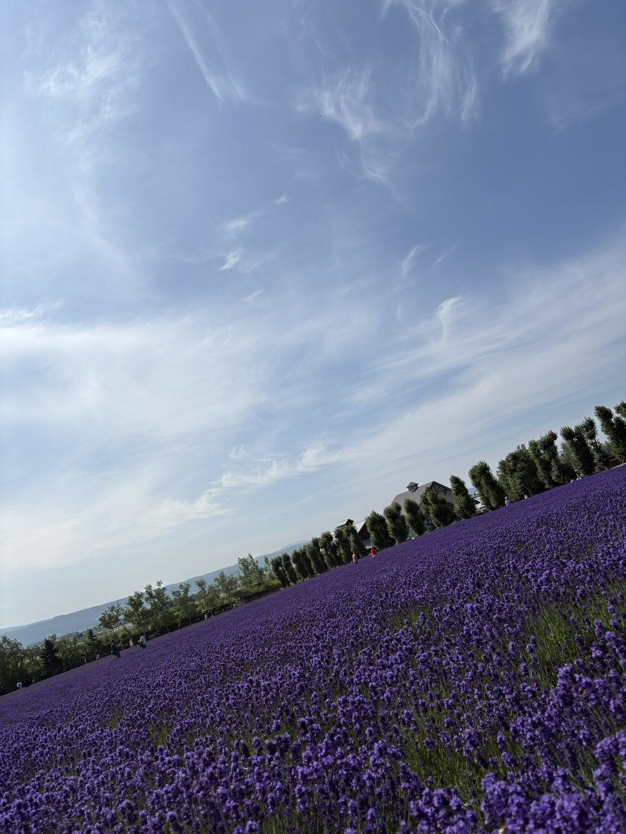 yurei548's tweet photo. やっぱり年に一度は行かなきゃ！
って事で老体にムチ打って8:30には着くようにして行って来たわっ
目の保養してお肉買ってラーメン食べて来たわっ
呑まなきゃっだわっ https://t.co/toDM7IleR1