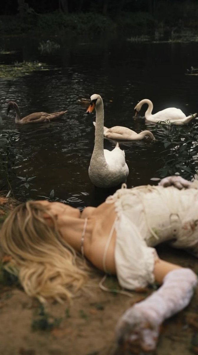 auroraavibe's tweet photo. Swan mood🦢✨ https://t.co/LpNHm5dmbQ