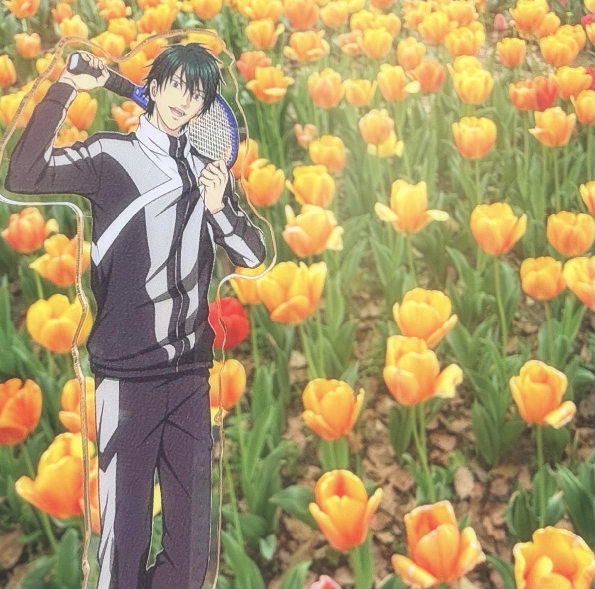 Flower_Naranja's tweet photo. 最近知ったんだけどチューリップ全体の花言葉の一つが「美しい瞳」らしくて、私の中でリョーガにピッタリだなぁと🌷🧡
でもオレンジのチューリップの花言葉は「照れ屋」だから全然違うね🤭(そんなとこがかっこよくて好きなんだけど🥰) https://t.co/fkrkfYhKJL
